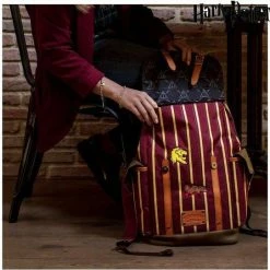 Coupon ✨ Casual Rugtas Harry Potter Kastanjebruin 🎁 -Samsonite Winkel 550x542 4