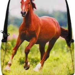 Hete verkoop π B&B Slagharen Rugzak Paard- Rugtas Bruin Paard- 42cm X 28cm X 12cm- Incl. Setje Paarden Stickers π 5 Hete verkoop π B&B Slagharen Rugzak Paard- Rugtas Bruin Paard- 42cm X 28cm X 12cm- Incl. Setje Paarden Stickers π -Samsonite Winkel 550x778 6