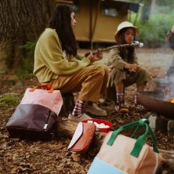 Top 10 🧨 Sticky Lemon | Island Blue + Green Meadow - Rugzak - Large 🎁 -Samsonite Winkel 550x825 55